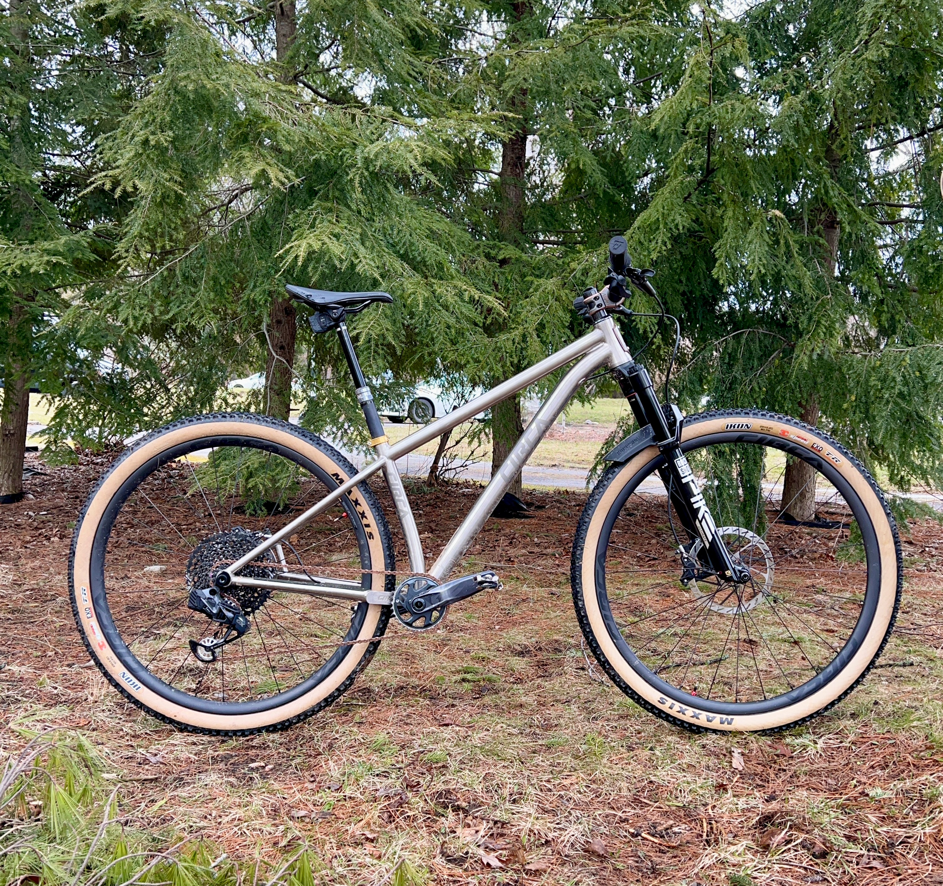 Silver mountain bike under evergreen trees